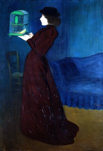 Mulher, com, um, gaiola pássaro
